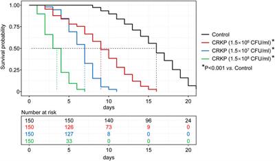 Evaluation of in vivo antibacterial drug efficacy using Caenorhabditiselegans infected with carbapenem-resistant Klebsiella pneumoniae as a model host